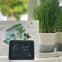 Growing energy efficiency divide making renters sweat