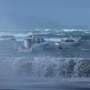 Hundreds evacuated as waves batter New Zealand capital