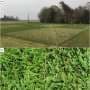 Study finds robotic mowers improve Florida lawn health while reducing maintenance