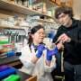 How cells identify and silence unwanted jumping genes