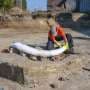 Taimering mammoth was likely butchered by hunters and gatherers