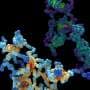 Teaching thermodynamic laws to AI unlocks a polymer modeling challenge