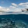 Divers may think they protect reefs, but one unseen habit is taking a steady toll