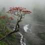 Atlantic 'cold blob' may be reshaping Indian monsoon, steering rain northwest