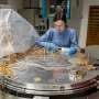 Q&A: Tracing the origins of supermassive black holes