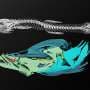Emergence of new cavefish species challenges evolutionary dead-end idea