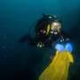 Expedition to Antarctica advances research on potential melanoma treatment
