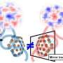 Terahertz imaging maps spatial chirality in materials with 100-micrometer resolution