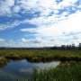 A plan to preserve wetlands without stopping development