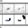 When order gives way to chaos—the turbulent birth of magnetic nanovortices