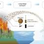 Wildfire dark brown carbon has strong global warming effects, study finds