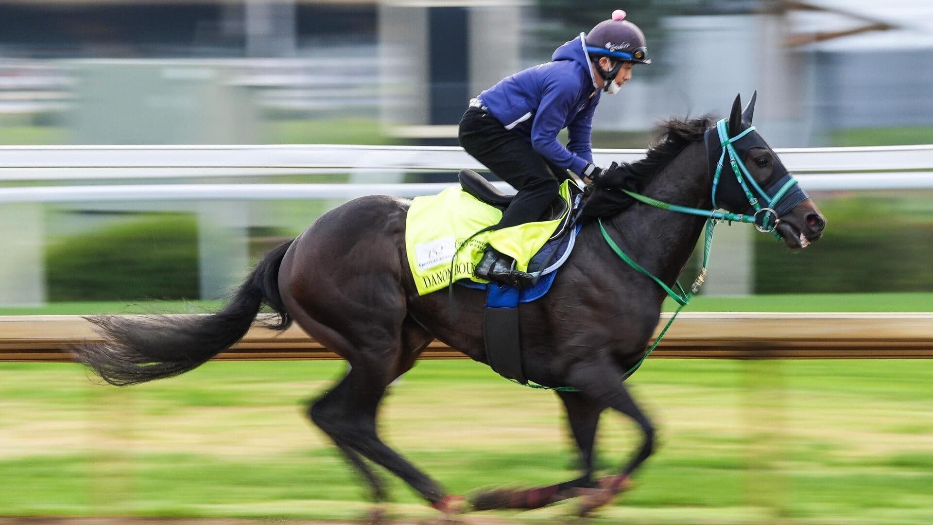 2026 Kentucky Derby horses, odds, predictions, posts: Expert who called 12 Derby-Oaks Doubles releases picks