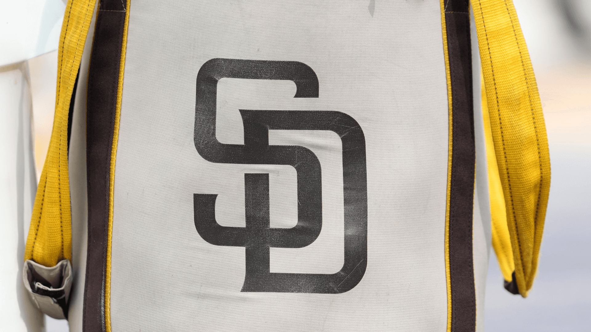 Padres prospect pleads guilty to charge of transporting undocumented immigrants within United States