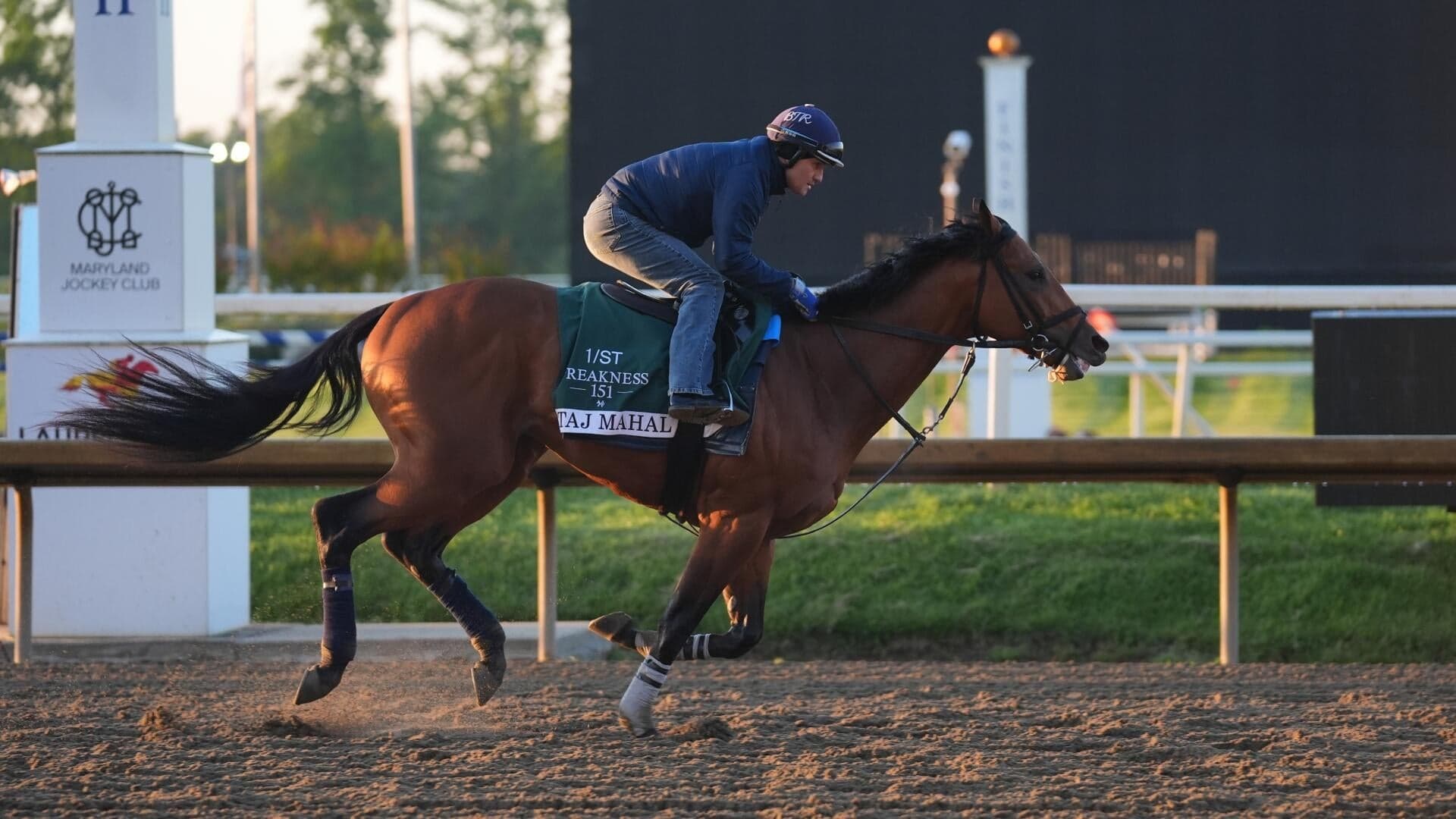 Preakness Stake 2026 odds, posts, date: Iron Honor, Taj Mahal, Incredibolt predictions by top expert