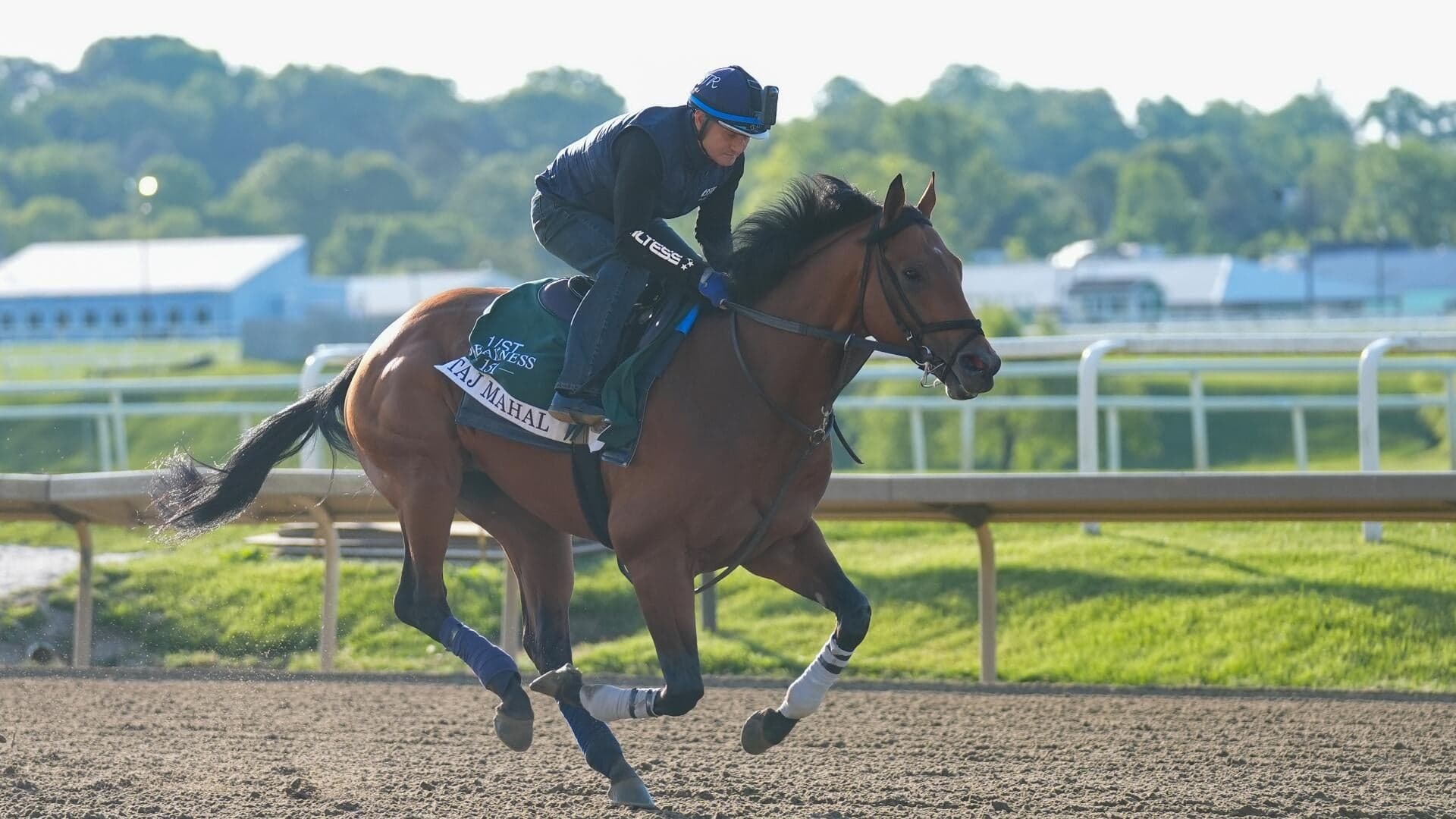 Preakness Stakes 2026 predictions, odds, horses: Best win, place, show, exacta, trifecta, superfecta picks