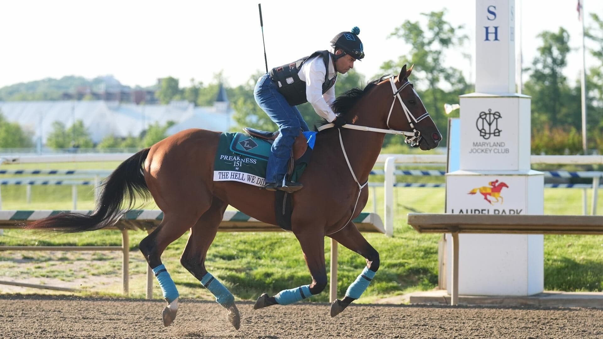 2026 Preakness Stakes horses, odds, predictions, post draw: Expert who nailed 11 winners releases picks