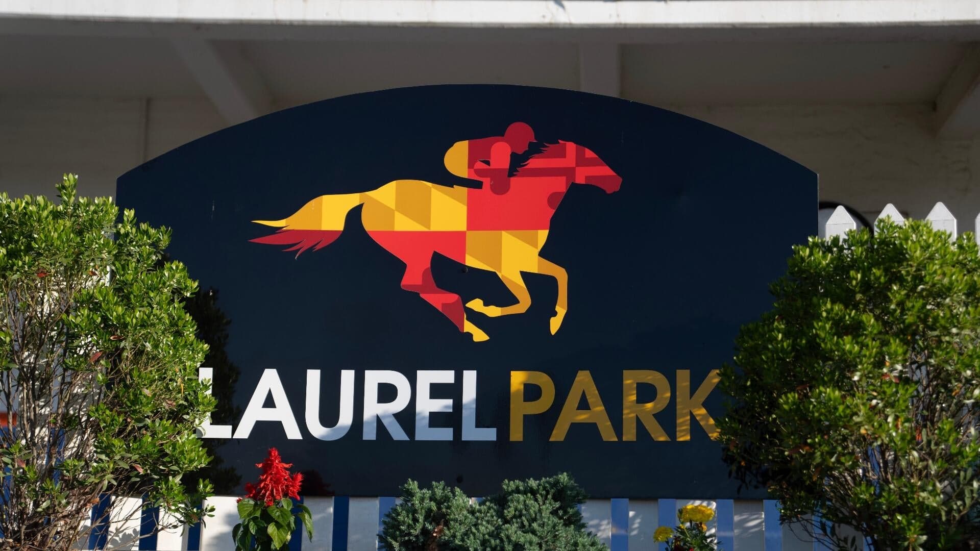 Preakness Stake 2026 odds, posts, date: Iron Honor, Taj Mahal, Incredibolt predictions by elite expert