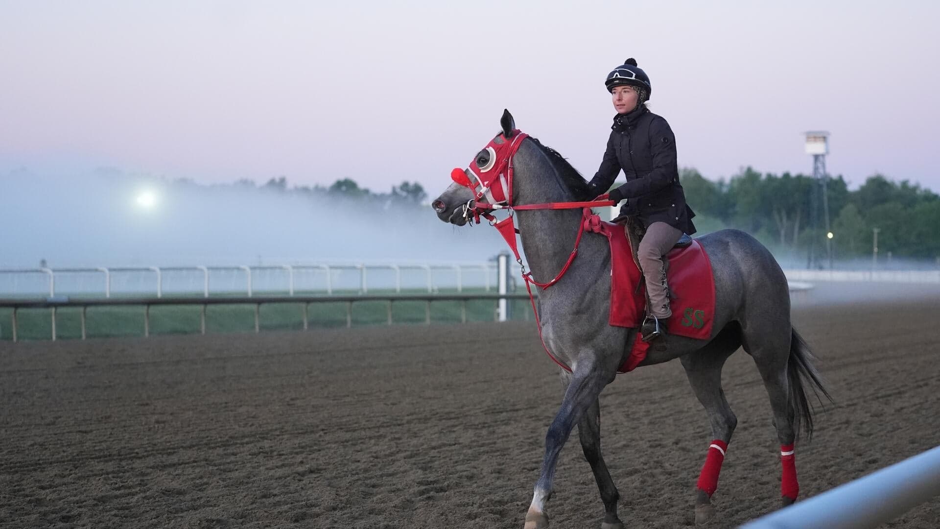 2026 Preakness Stakes horses, odds, predictions, post draw: Expert who nailed 11 winners locks in picks