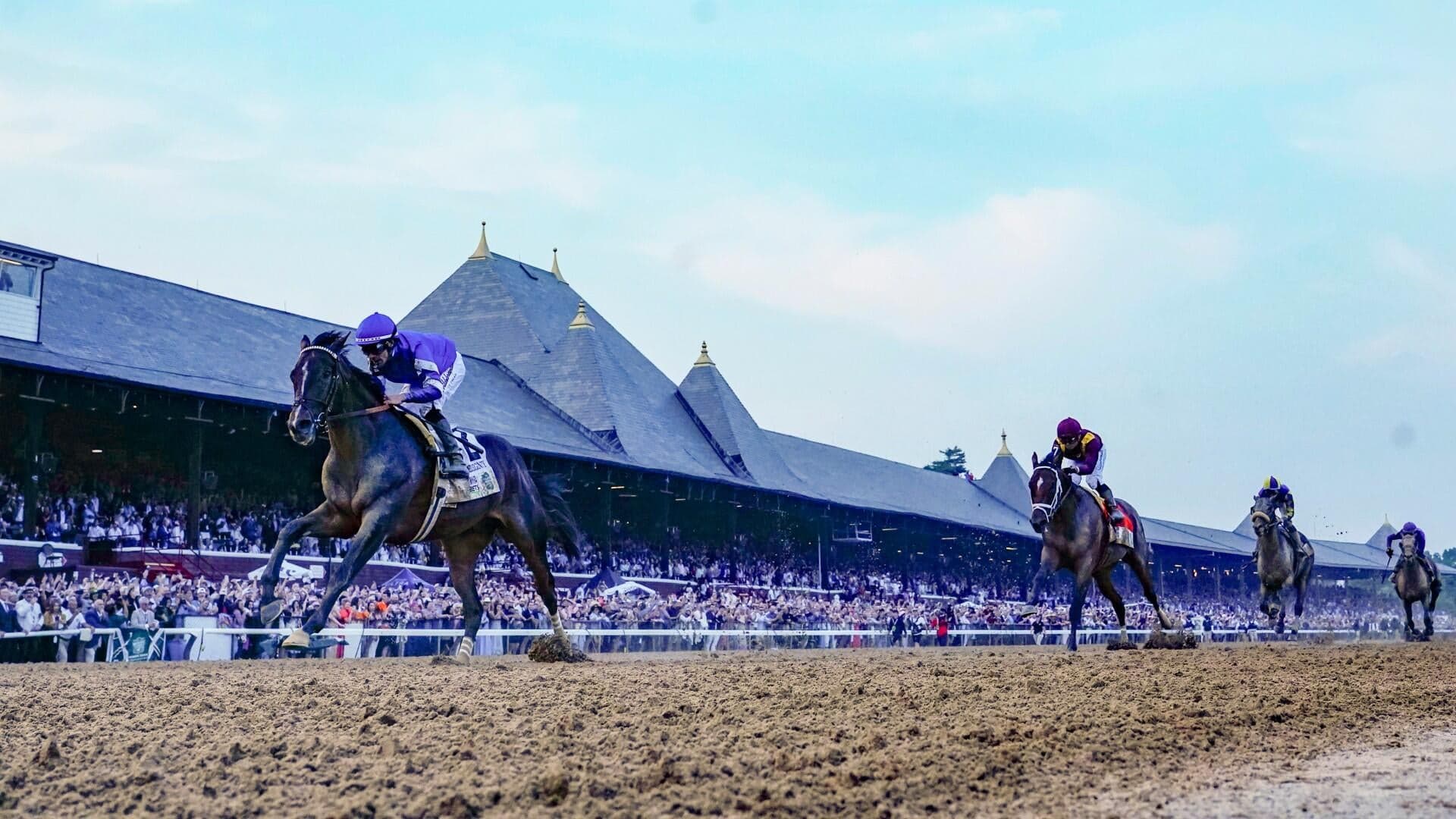 2026 Belmont Stakes odds, date, predictions: Expert who hit 4 of last 8 winners reveals horse racing picks