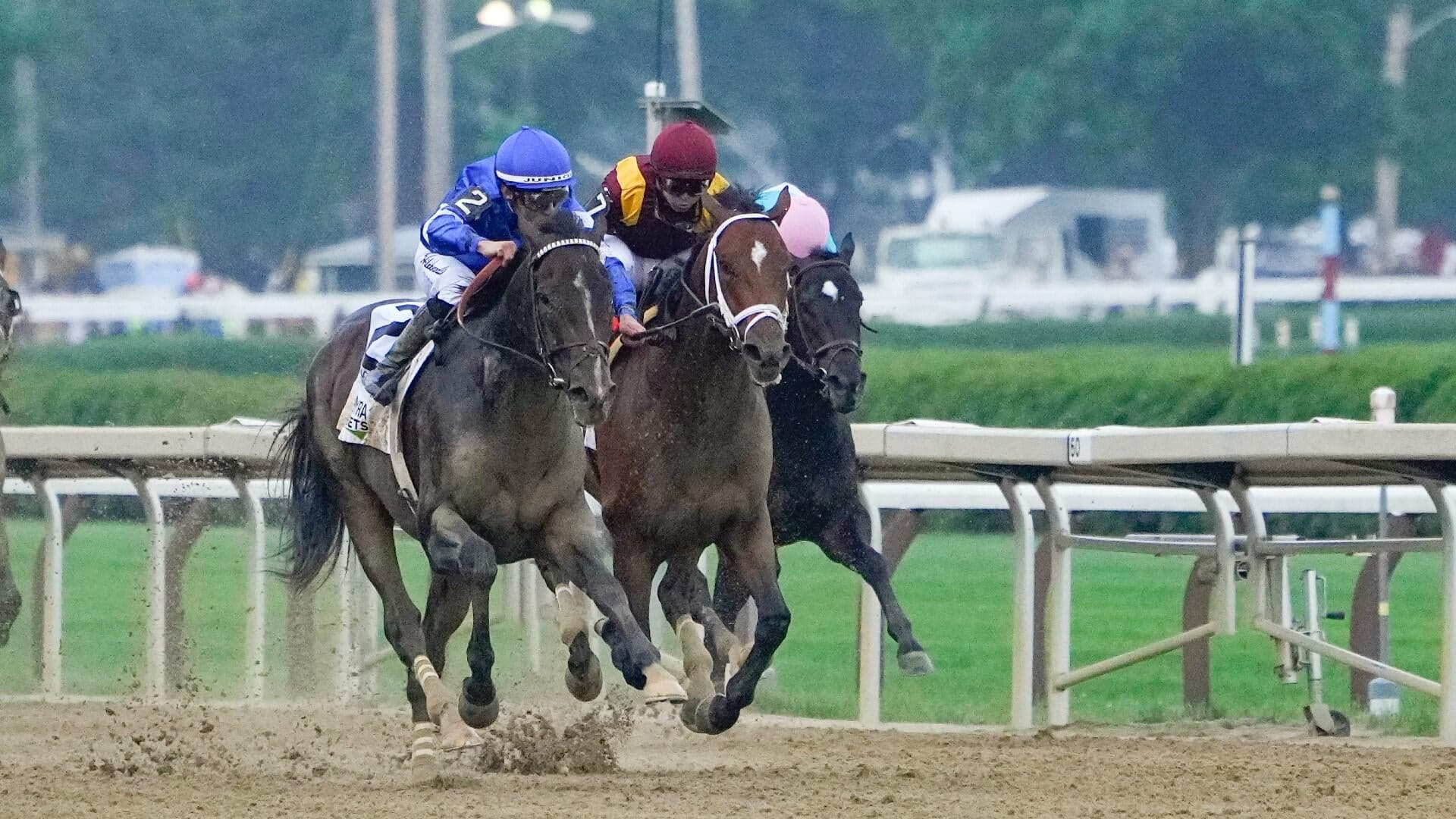 2026 Belmont Stakes odds, date, predictions: Expert who called 4 of last 8 winners shares horse racing picks