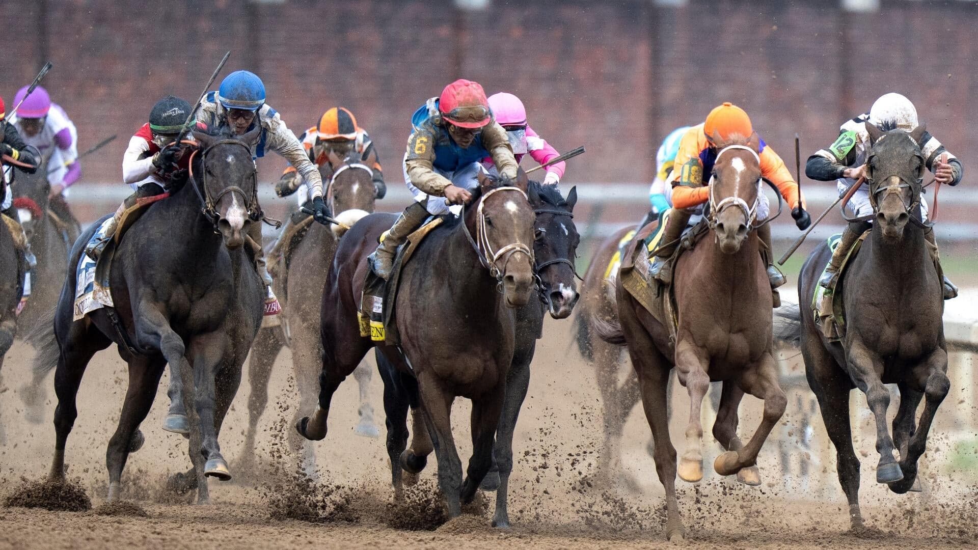 2026 Belmont Stakes predictions, horses, odds, post positions: Surprising picks via elite handicapper
