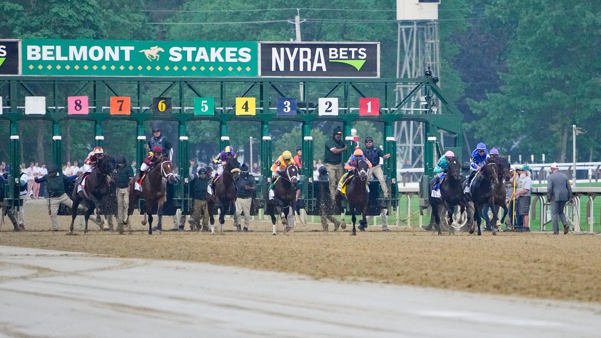 2026 Belmont Stakes predictions, horses, odds, posts: Surprising picks via elite handicapper
