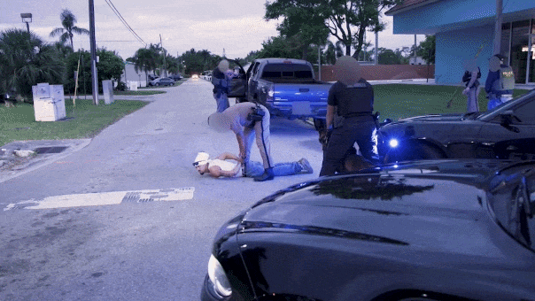 Video shows ICE officers arrest alleged MS-13 gang member described as 'known suspected terrorist' in Florida