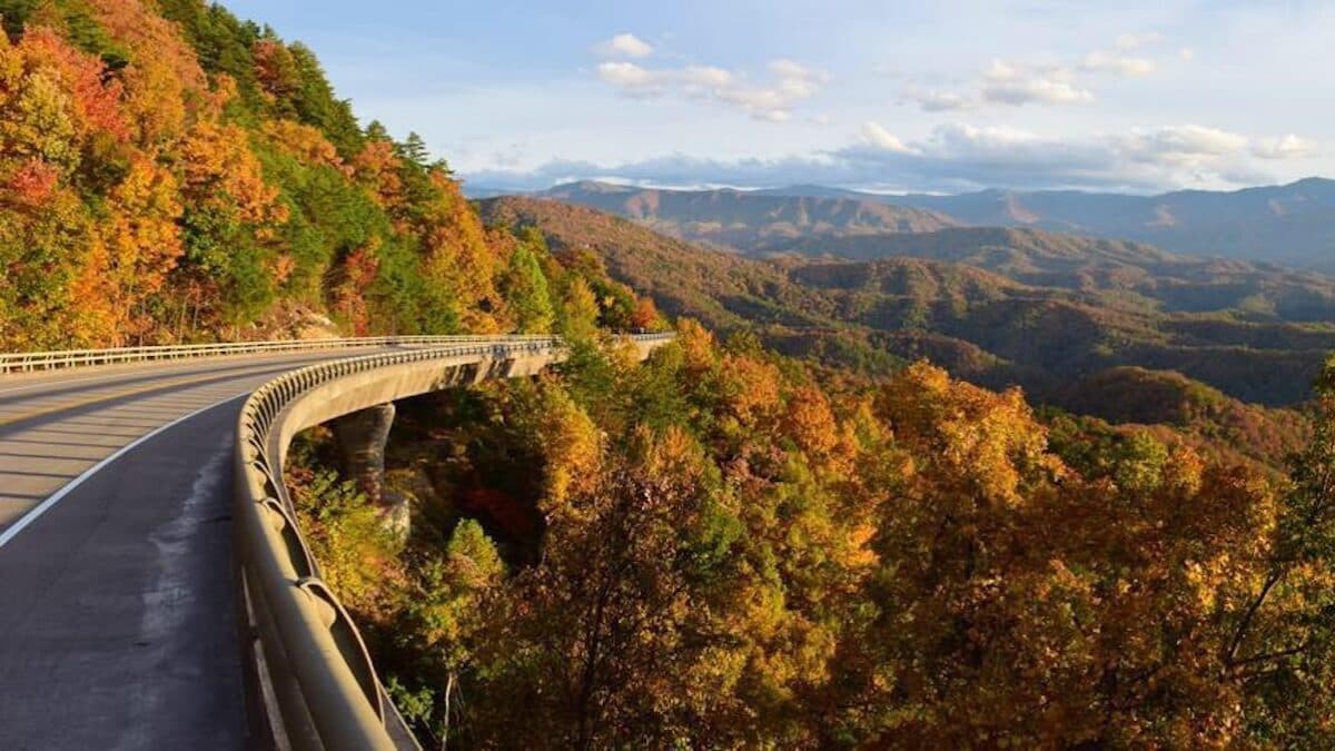 My Family’s Bicentennial Road Trip Taught Me What It Means To Be American