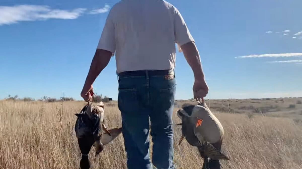 The Trump Administration Proposes A Big Expansion Of Hunting Rights On Public Lands