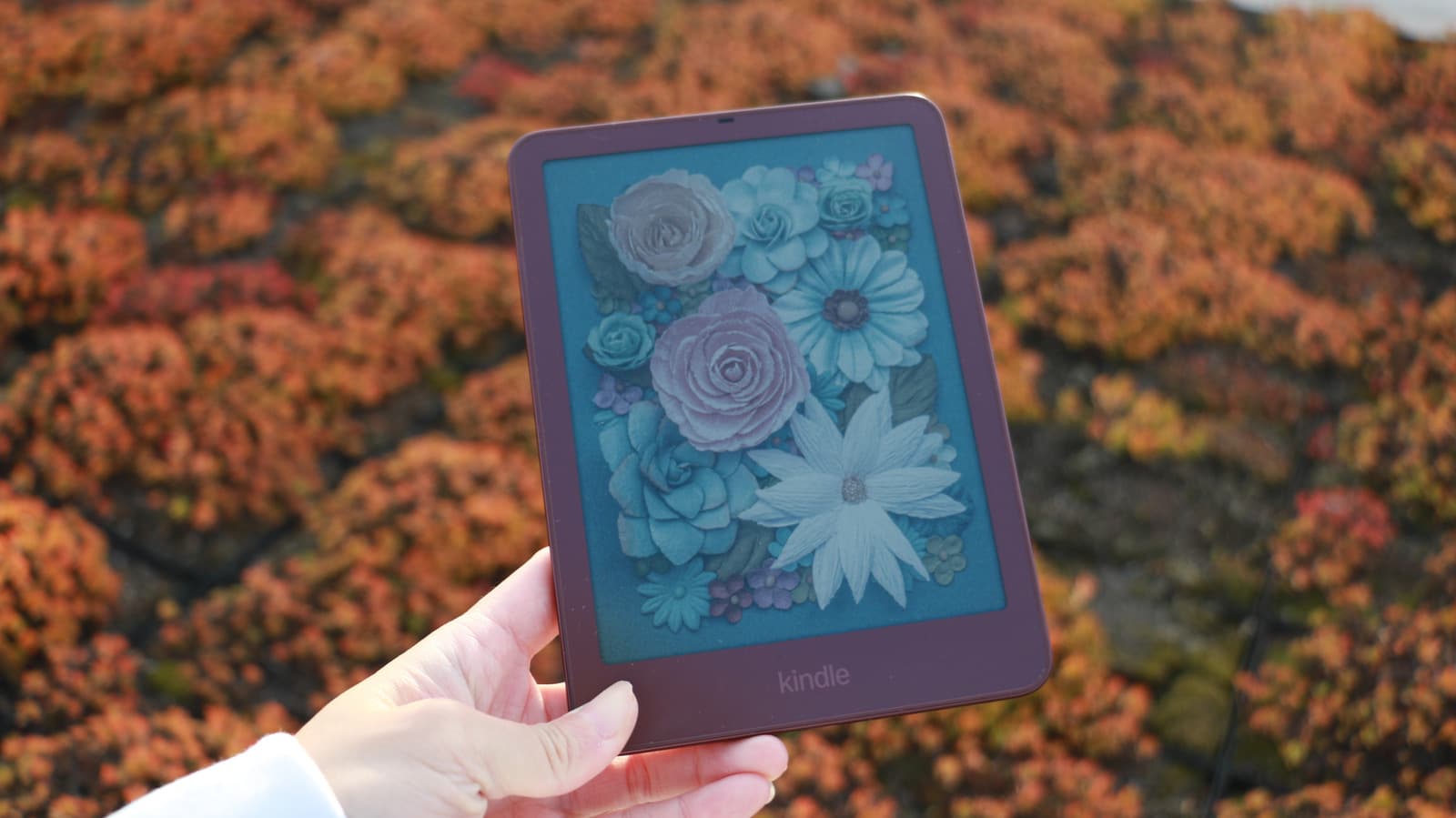Kindle Colorsoft Signature Edition 2026 review: Nice, but doesn't justify the price