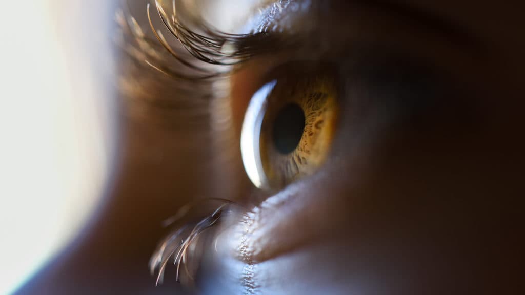 STAT+: Life Biosciences share glaucoma study updates for its cellular reprogramming drug